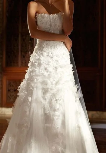 Crazy Savings David's Bridal Galina Signature  SWG471
